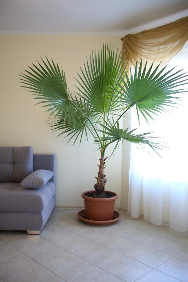 Villa Livia Boutique Apartments Ravda ภายนอก รูปภาพ